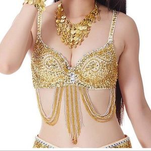 Sequin belly dancing bra